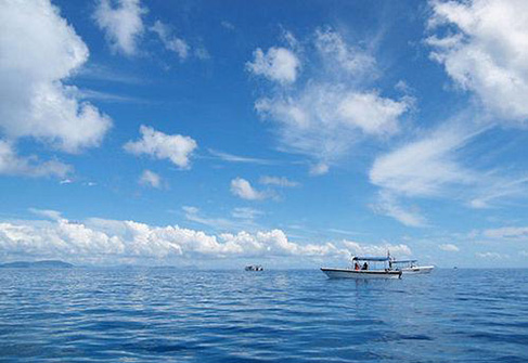 夏日潛遊馬來西亞詩巴丹 深入夢幻藍色海底